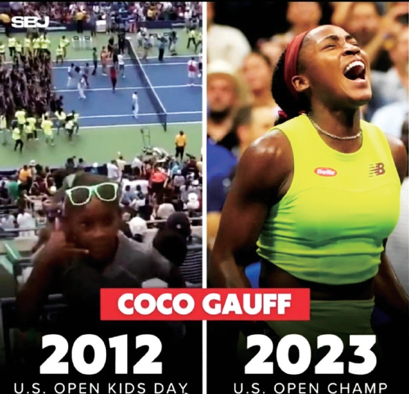 意的因素是 意的因素是