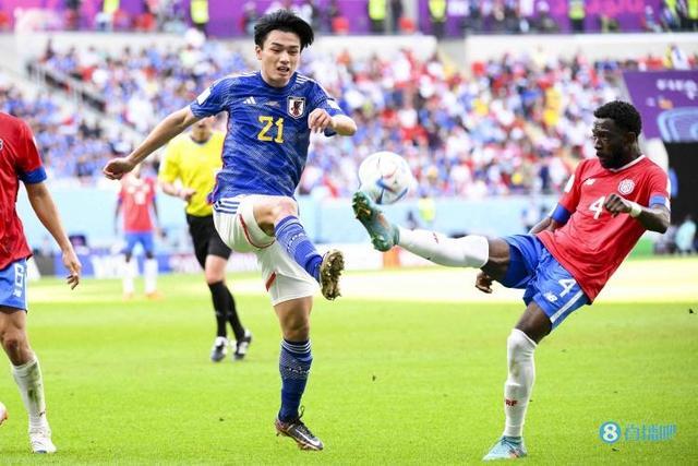 假掩护真单 假掩护真单